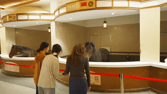 河北到底哪里美 | 畅玩河北坝上之承德丰宁篇