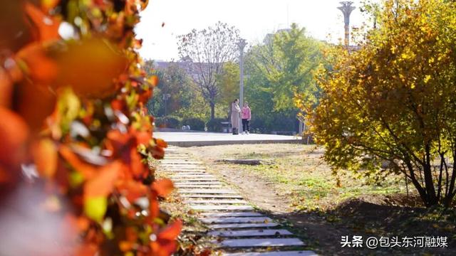 秋日限定 快来南海和“鸥气”撞个满怀！