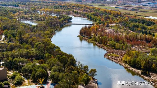 【乐游烟台】最新实拍！烟台鱼鸟河“顶级秋色”加载中