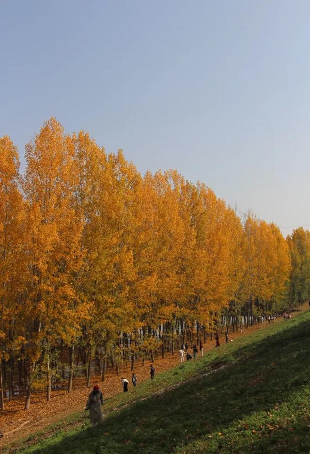 西安城区4个绝美秋景打卡地!