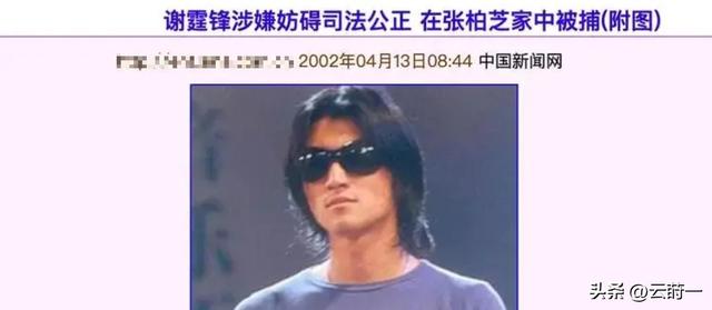 王晶终于坦白！张柏芝婚变主因不是王菲，而是让她3年怀孕5次的人