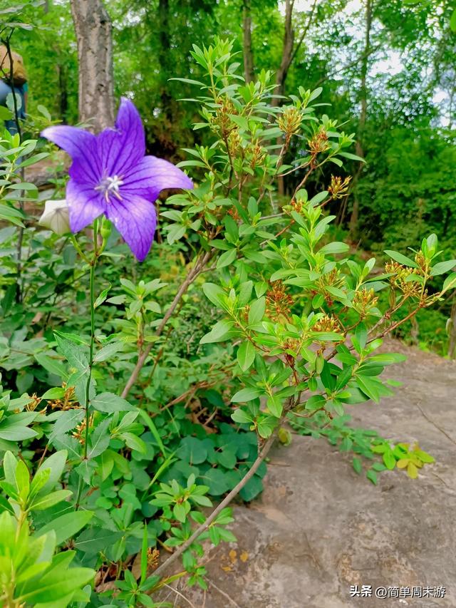 9）山西陵川三载后再赴南太行：18人战暑踏秘境，一程山水一程情