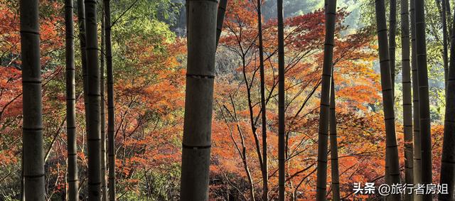 真是醉了，徒步奉化东西岙徐凫岩看悬崖飞瀑堵人竟然堵到怀疑人生