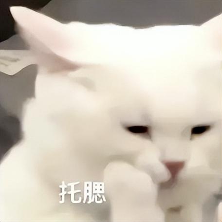 499元，小米刚刚公布的6000mAh新品，有点骚啊