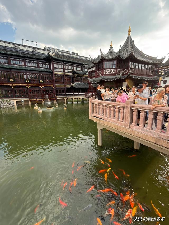 中秋逛豫园，月满人团圆
