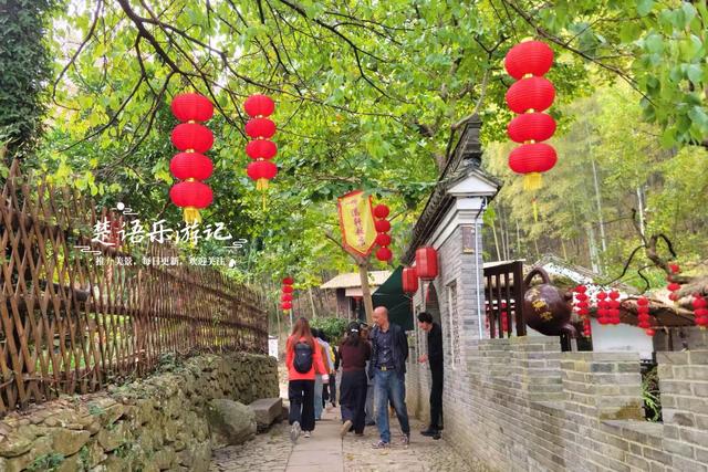 宁波慈溪的千年古村，古樟公园已经足够优美，昆虫乐园更加好玩