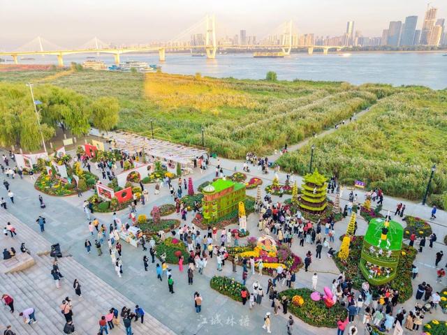 太出片了！这里的枫叶红了，乌桕美了！网友：原来武汉的秋天这么多情！