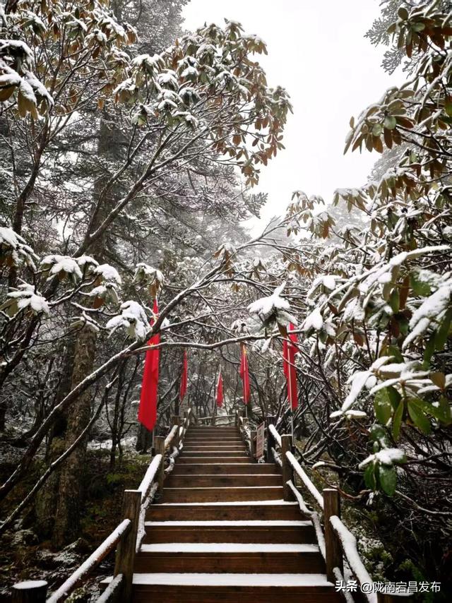 雷古山初雪：云端之上的冰雪絮语