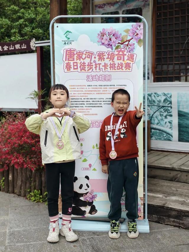 徒步阴平古道，艳遇紫荆繁花｜千年古道万亩紫荆待君来
