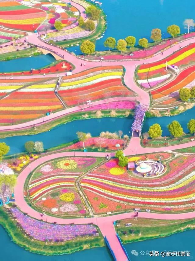 10月第5期（5天）点评