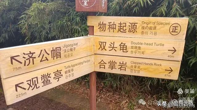 温州这两个以奇石闻名又可连穿的免费景区，值得一去！