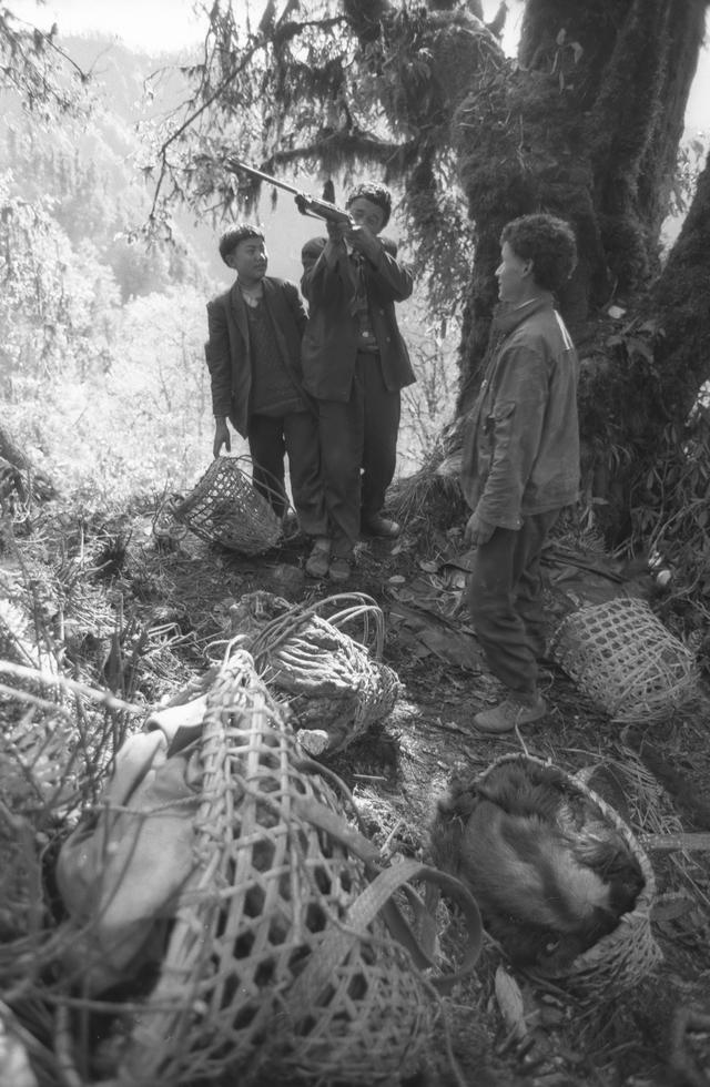 38 寻找大瀑布【岩洞营地—坡间营地D】阴多云夜雨（日记版）雅漂