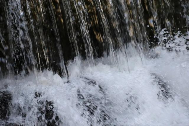 贵清山20℃的清凉秘境，让眼睛与心灵一起深呼吸