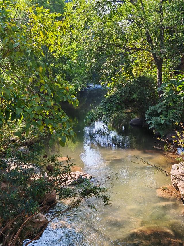侧耳听鸟语，放眼觅花魂——游勐远仙境