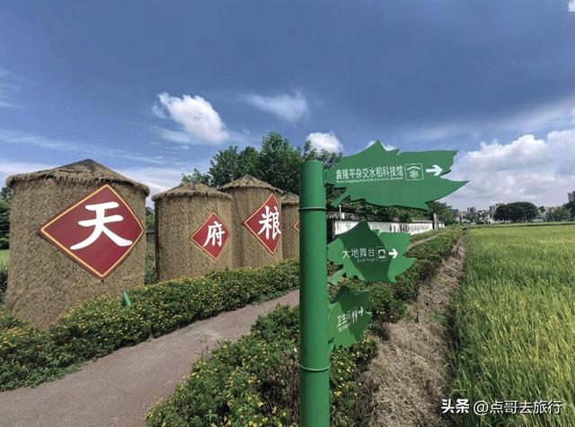 成都最美艺术农村，被人称为“成都夏威夷”，不要门票，公交直达