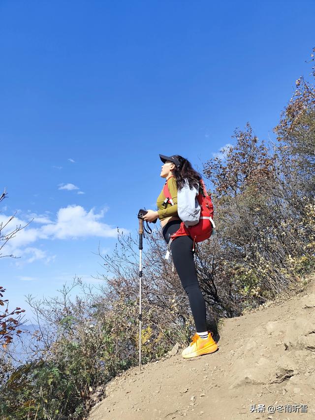 又见山山红叶飞