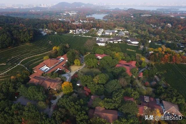 国家一级博物馆之124 中国茶叶博物馆