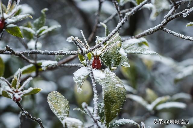 穷游，为何成为时代新宠