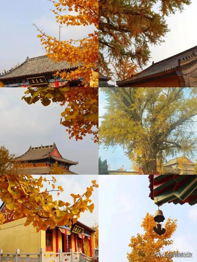 大连最美的15个秋天打卡地,看看去过几个