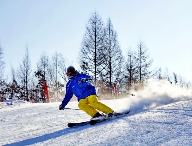 大雪已至 龙江皆雪趣