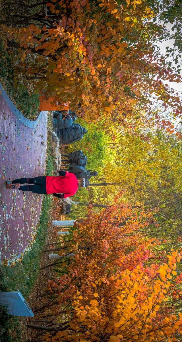 生态城的秋天，已经美得不像样了