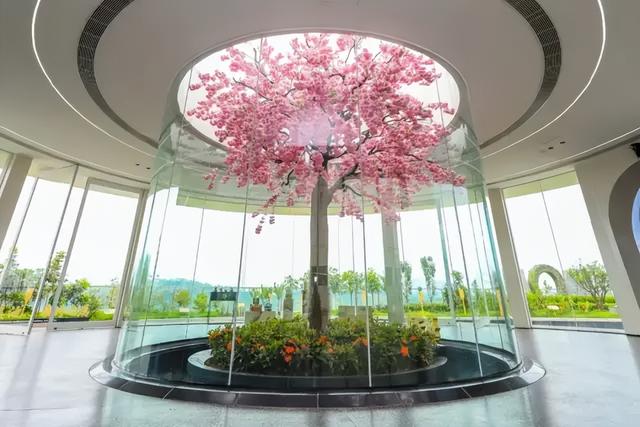 文商旅体，大旺一站配齐！