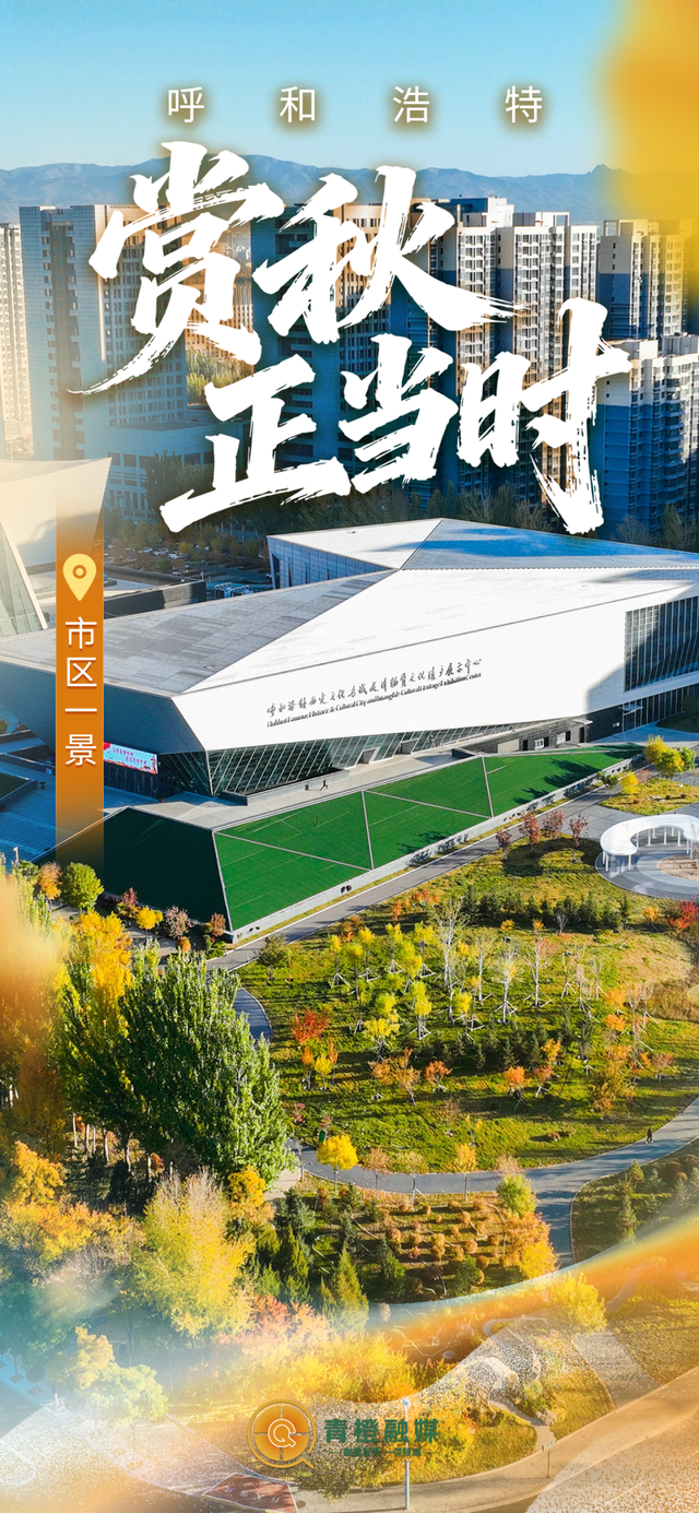 呼和浩特“换装”！限定“惊喜”来了！