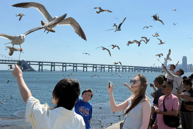 走啊！去赶海，去喂海鸥！