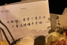 热点 | 全网刷屏！多个连锁品牌就“胖猫事件”道歉图片
