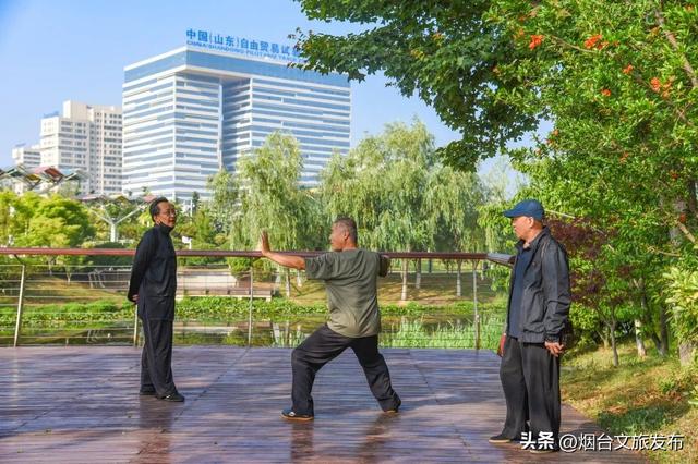【乐游烟台】邂逅柳林河公园 开启生态宜居的森系时光