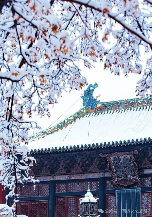 久等了!运城城景通新春免费版,上线!