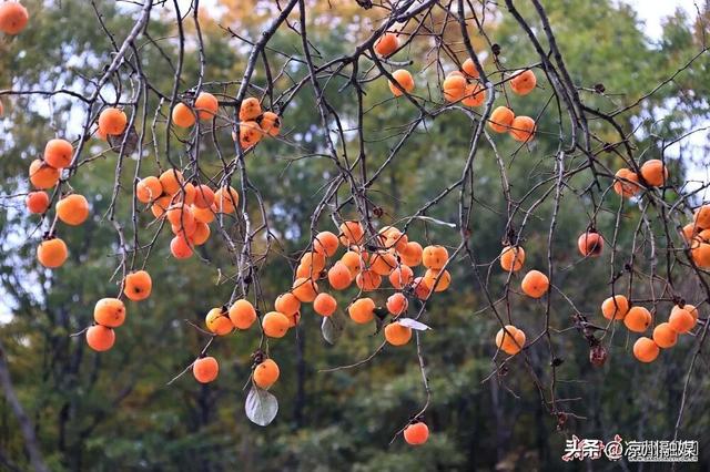 被甘肃“暖”到了！