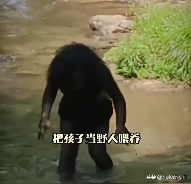 后续！“野人男童”父母大学毕业，生活诡异，邻居爆料更可怜细节