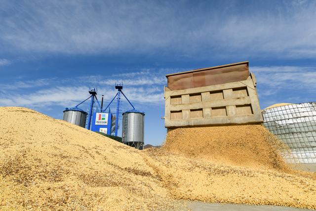 自贸易战以来，意外养肥了这个国家！如今它开始对我们坐地起价！