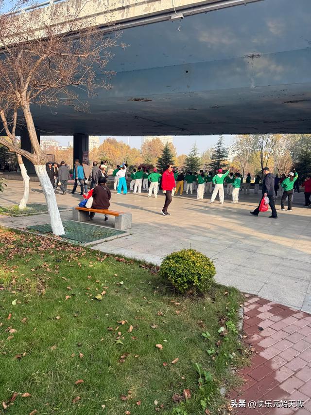 我一上午去了两个公园，