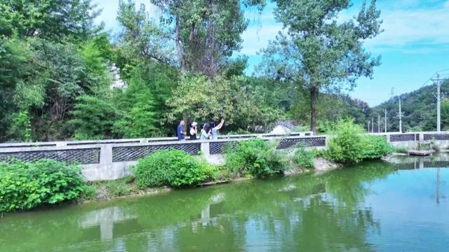 孝昌笔架村：红色热土上的绿色蝶变