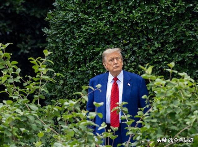 关税腰斩！瑞士大佬硬闯白宫，39%高税率被特朗普一刀砍到15%！