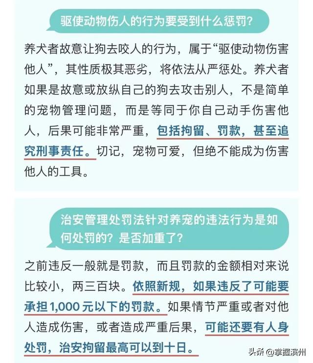 “史上最严”！最高拘10天罚1000元，2026年1月1日起正式实施，网友：希望张贴到每个小区