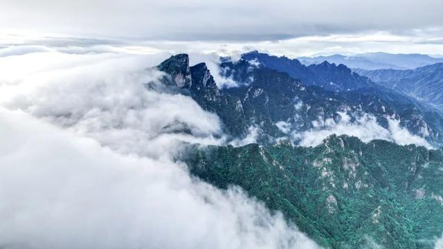 老界岭初秋云海氛围感拉满！