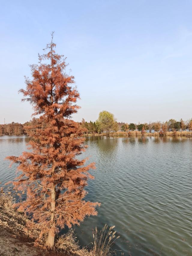 一位退休老人的“穷游”经：花小钱看大世界