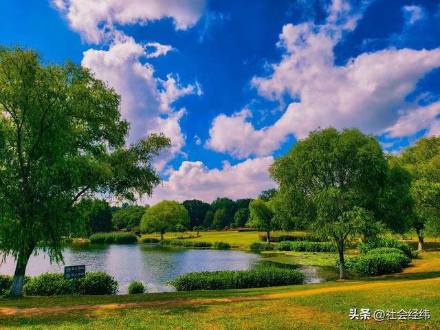 中山陵畔藏绿意：博爱园里，读懂 “天下为公” 的城市温度
