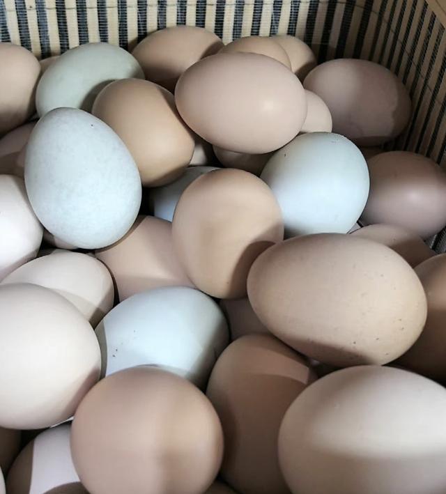 菜场买菜时，这5样东西最好别买，基本都是假的，买了就是上当