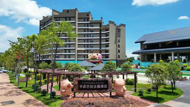 【萌狮叫醒服务】上线!快来给“最萌查房官”取个神仙名字吧!