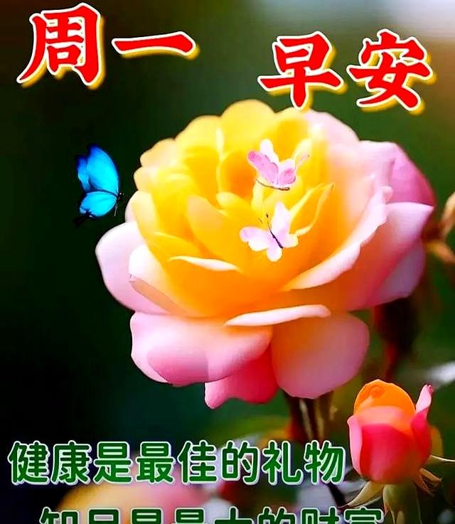 周一早安问候语每日更新，清晨的第一句问候送给您，愿您生活所愿
