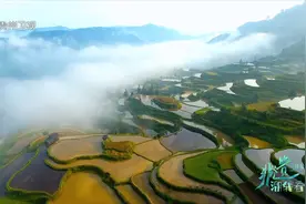 非遗体验潮我看丨肇兴侗韵，一起体验古老文化的传承魅力！图片