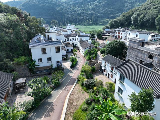 多地游客奔赴罗平云上花乡 开启清凉避暑旅居时光