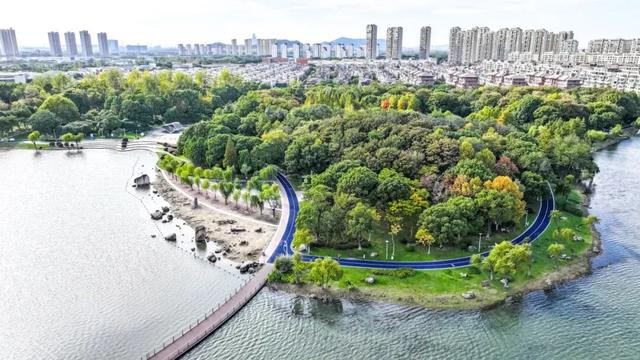 这样的张家港,我“All in”了!