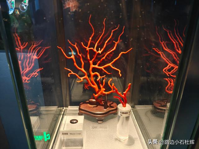 逛中国地质博物馆——一家好博物馆的暑期不佳体验