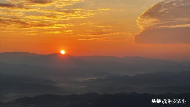 广西融安：朝霞晨雾绘山村美景