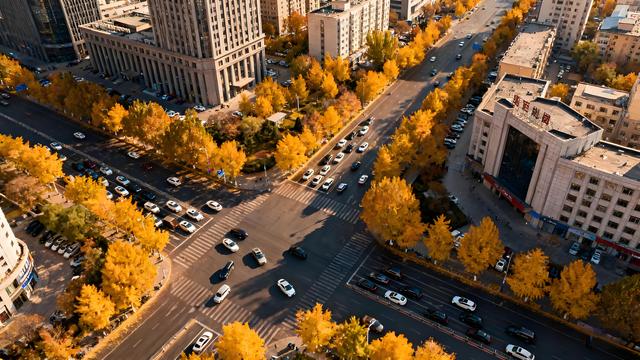 打卡金秋中国！盛京秋赋：枫红与故都的交响诗行